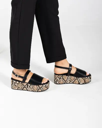 PYTHON PLATFORM